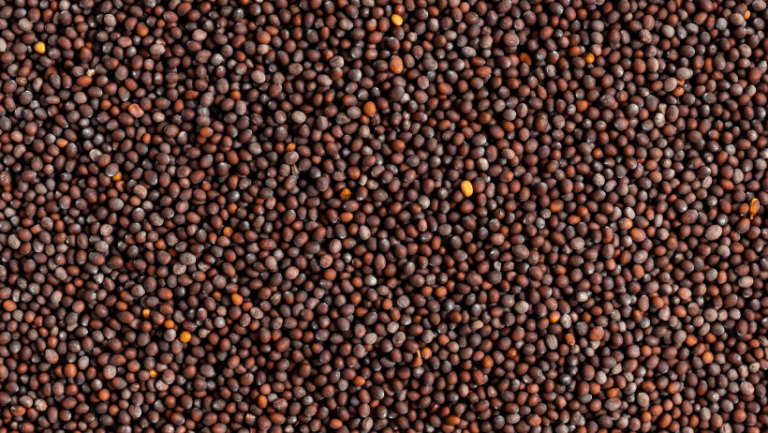 Black Brown Mustard